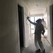 Looking for Professional Painters in Mount Eliza
