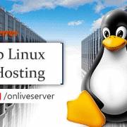  How To Turn Cheap Linux VPS Hosting Into Success